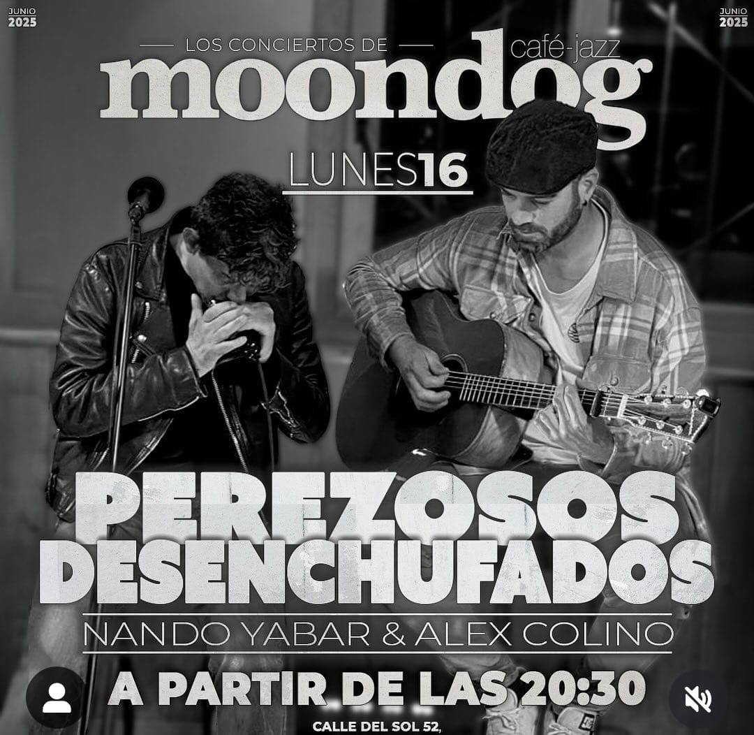 Perezosos Desenchufados en concierto