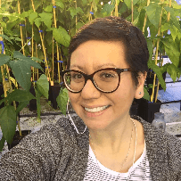 A Despensa Viva no Mercado: A Arte da Fermentación