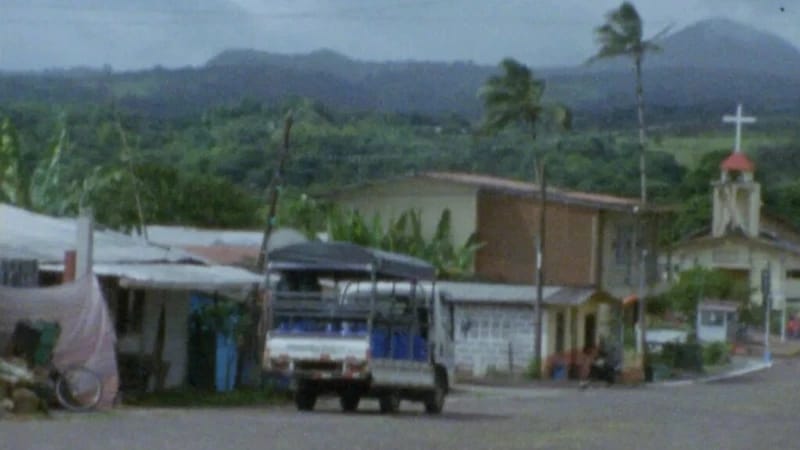 NOVOS CINEMAS - CARTA BRANCA MÍMESIS | 4 CURTAS