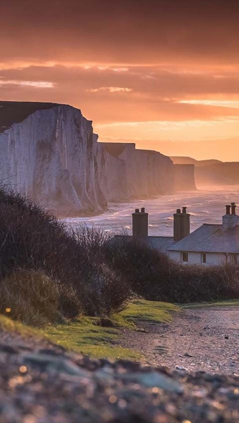 Dog-Friendly Walking Trails Near Brighton This Summer