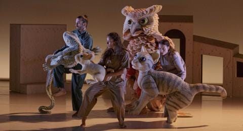 La gata que quería cambiar la historia