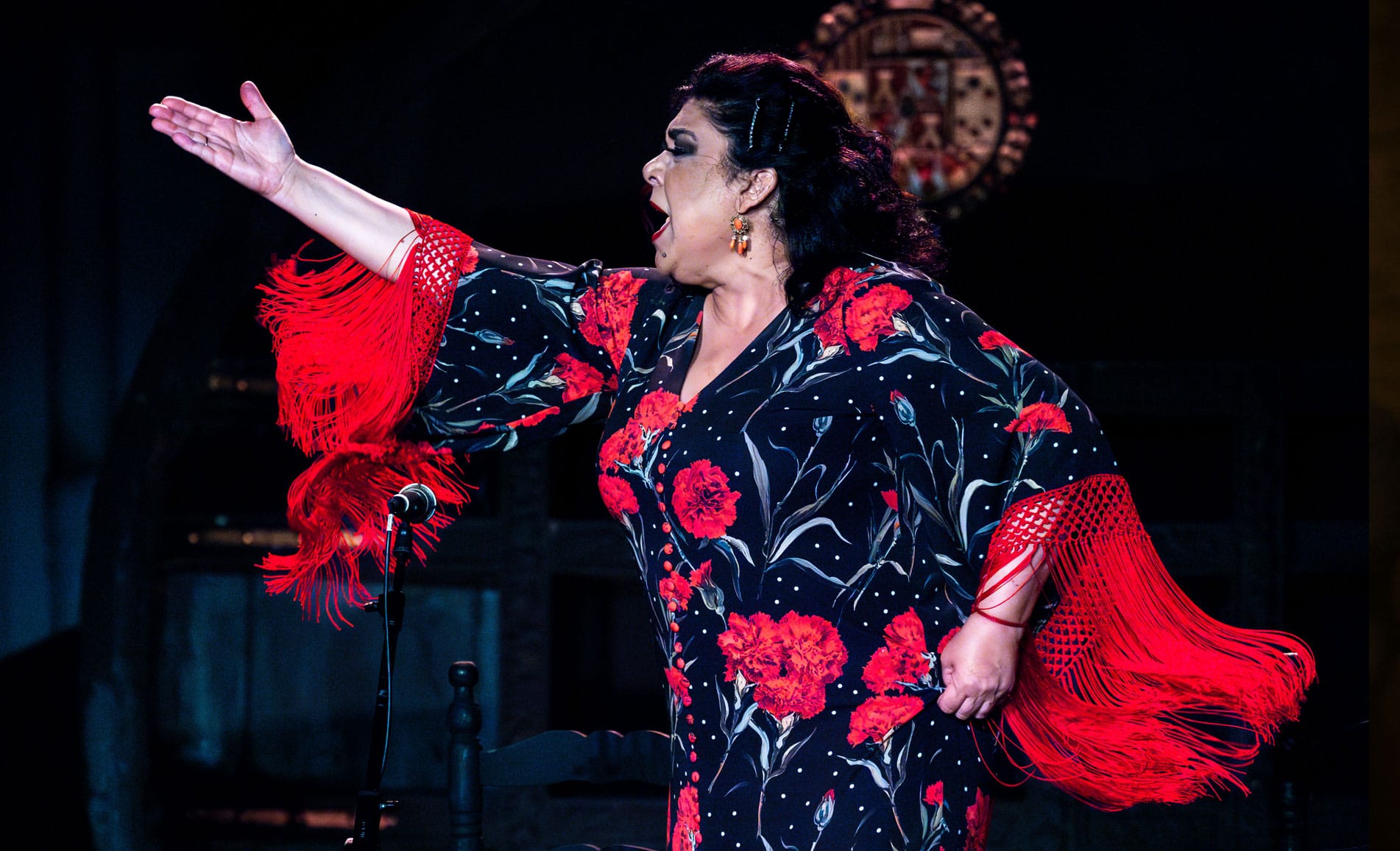Noche de Flamencas - 59 Festival de Flamenco y Danza de Almería