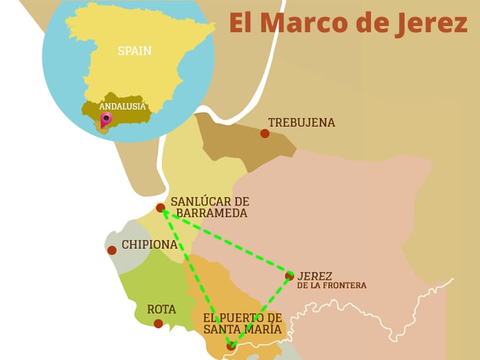 La vendimia en Sanlúcar: bodegas para visitar este verano