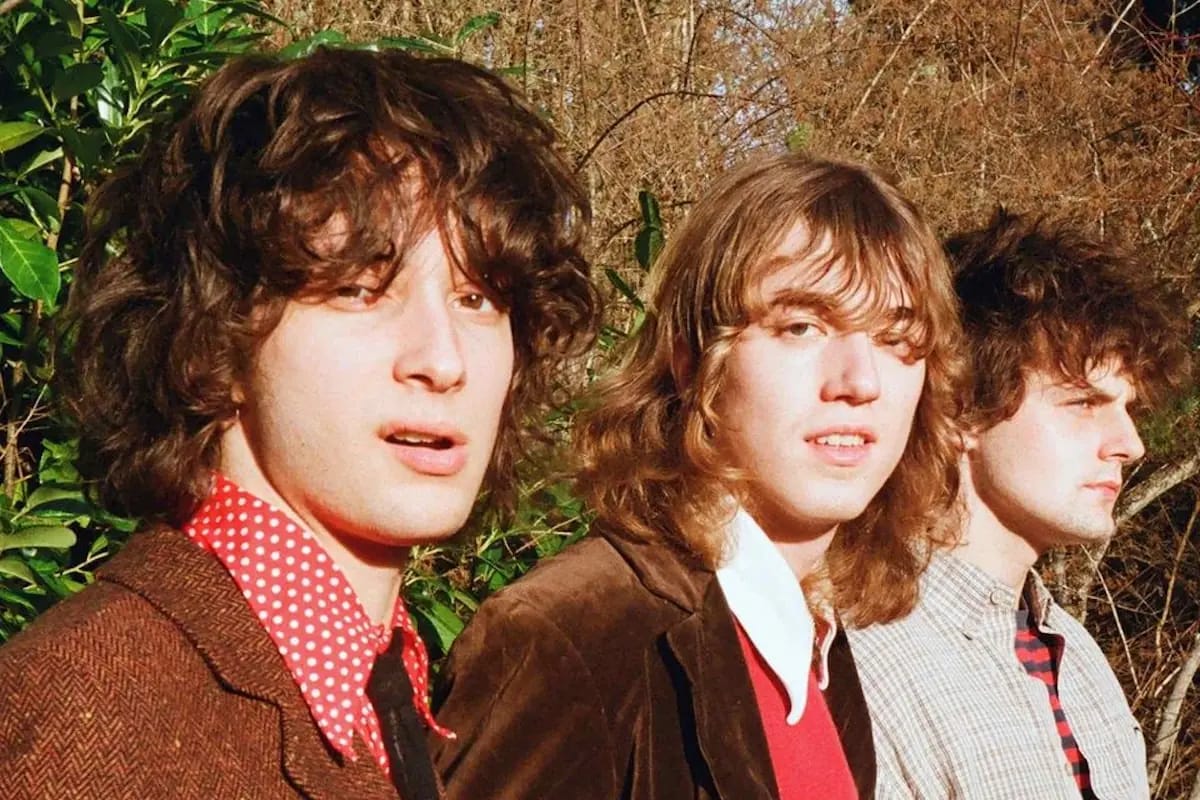 Concierto de Sharp Pins