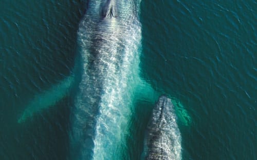 ¡A Coruña busca extras para una nueva serie de Netflix!