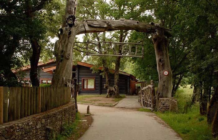 El árbol de cuento de Marcelle Natureza: vigas con historia