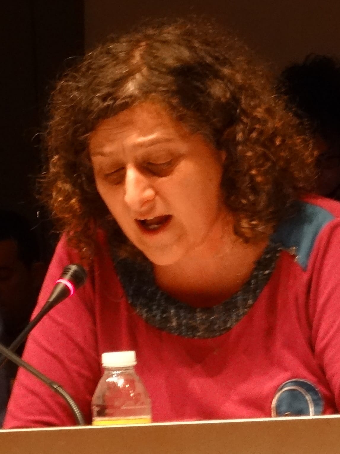 Campaña municipal del 25N