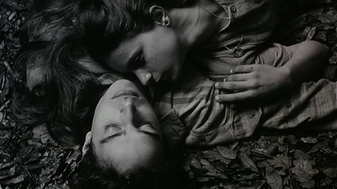 Proyección de 'Frágil como el mundo'