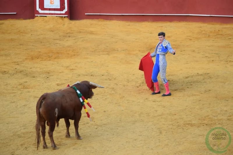 Novena de la Virgen de los Ojos Grandes