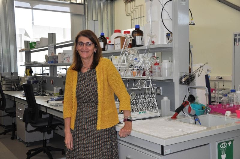 Jornadas de puertas abiertas Cintecx