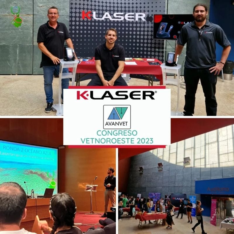 Jornadas de formación continuada para Auxiliares Técnicos Veterinarios (ATVs)