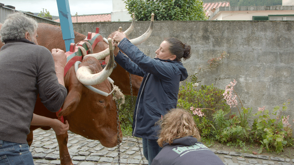 Mulleres de Abril: 'Mulheres do Meu País'