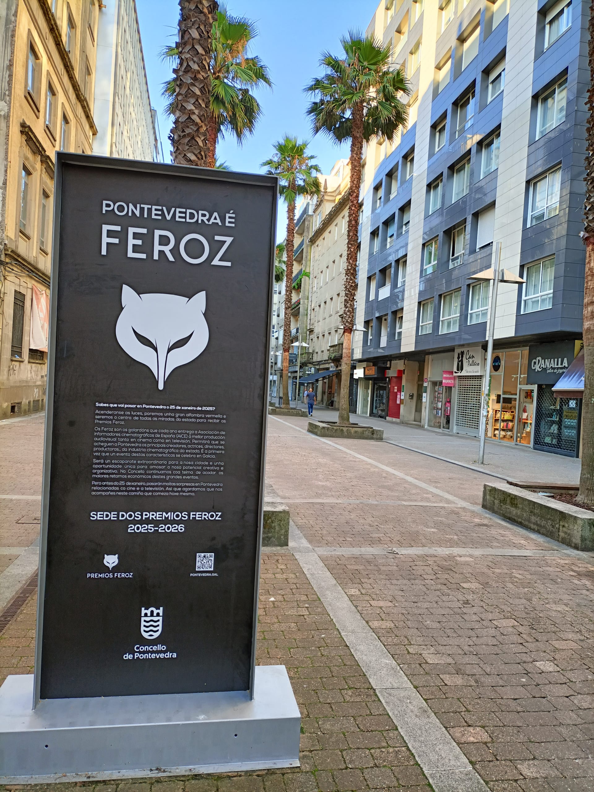 Gala de entrega de los Premios Feroz 2027