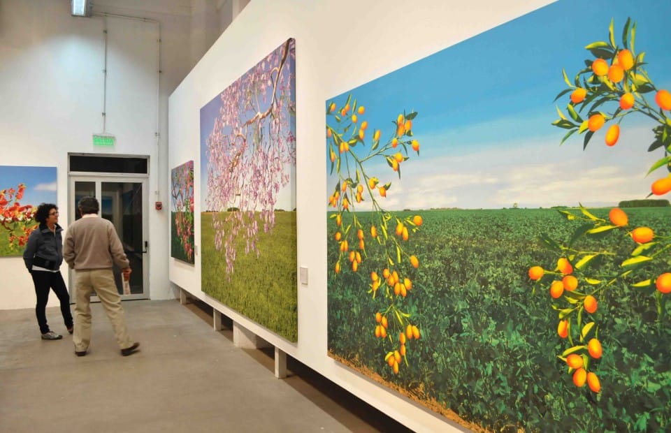Inauguración da exposición 'Las Flores que Agonizan y El Árbol'