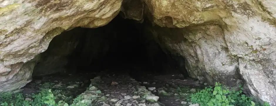 Recorrido naturalístico: Descubre las mariposas cavernícolas