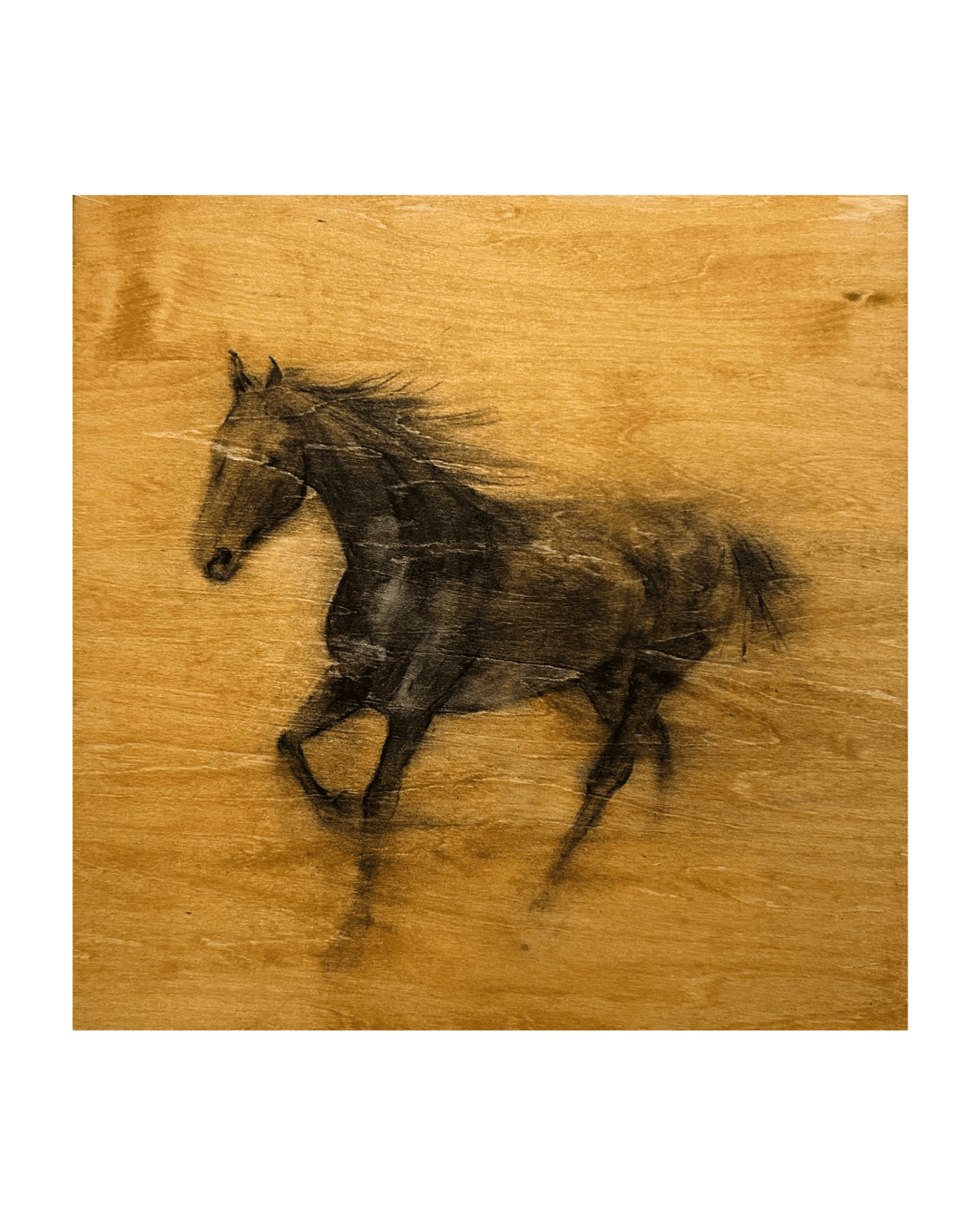 Traces of Being: Stories in Ink and Coffee