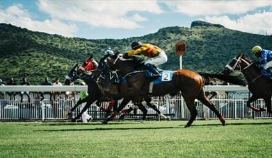 Afternoon Flat Racing Meeting