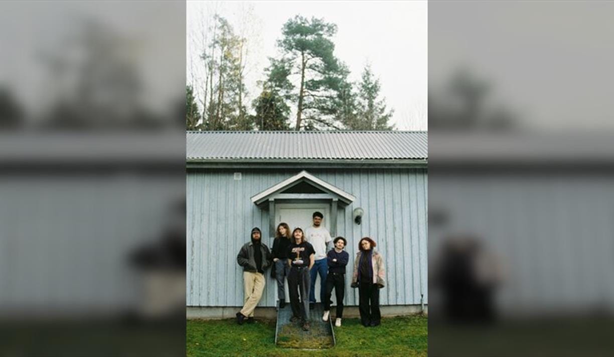 Brown Horse Live in Brighton