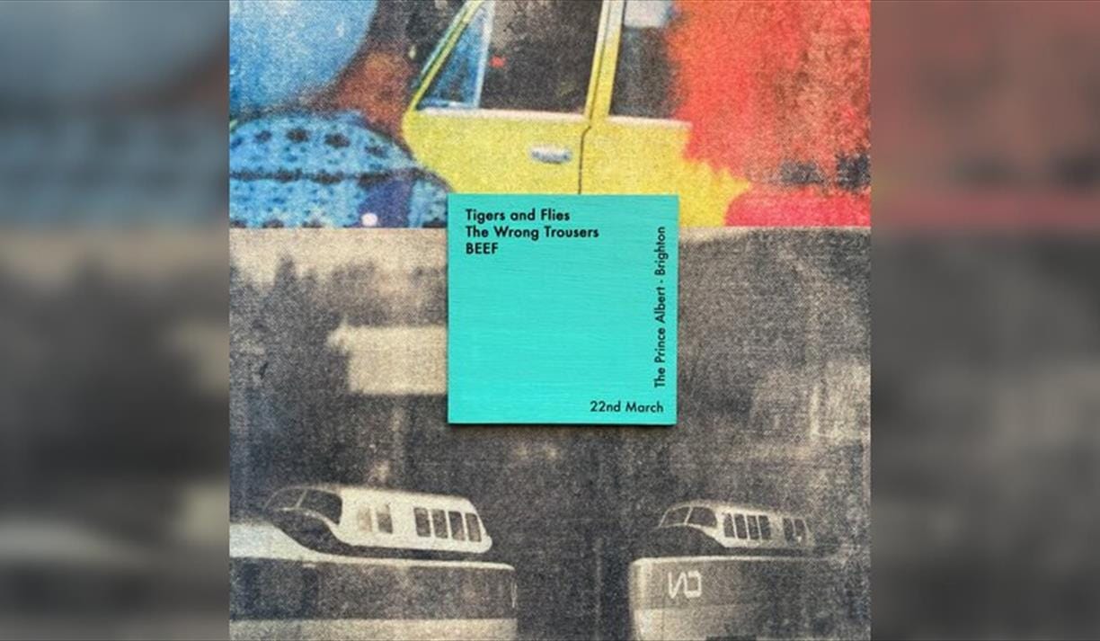 Tigers and Flies LP Fundraiser w/ The Wrong Trousers + BEEF