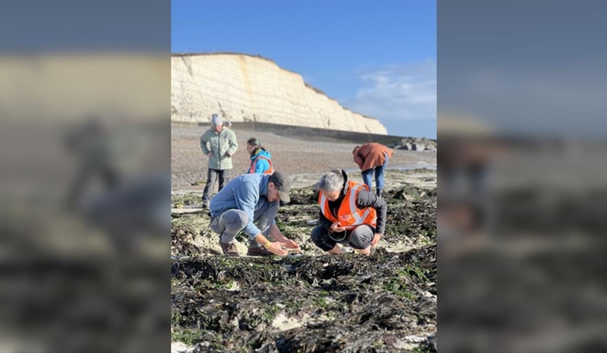 The Big Rock Pool Challenge BioBlitz Battle
