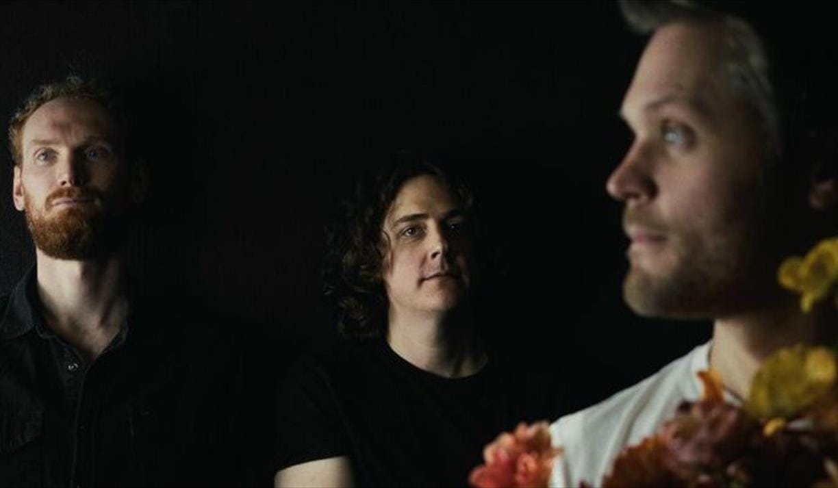 Quaking Aspens & Civil Villains