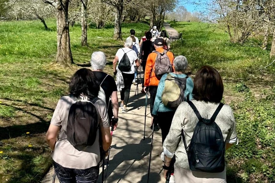 Marcha nórdica