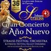 Johann Strauss. Gran Concierto de Año Nuevo