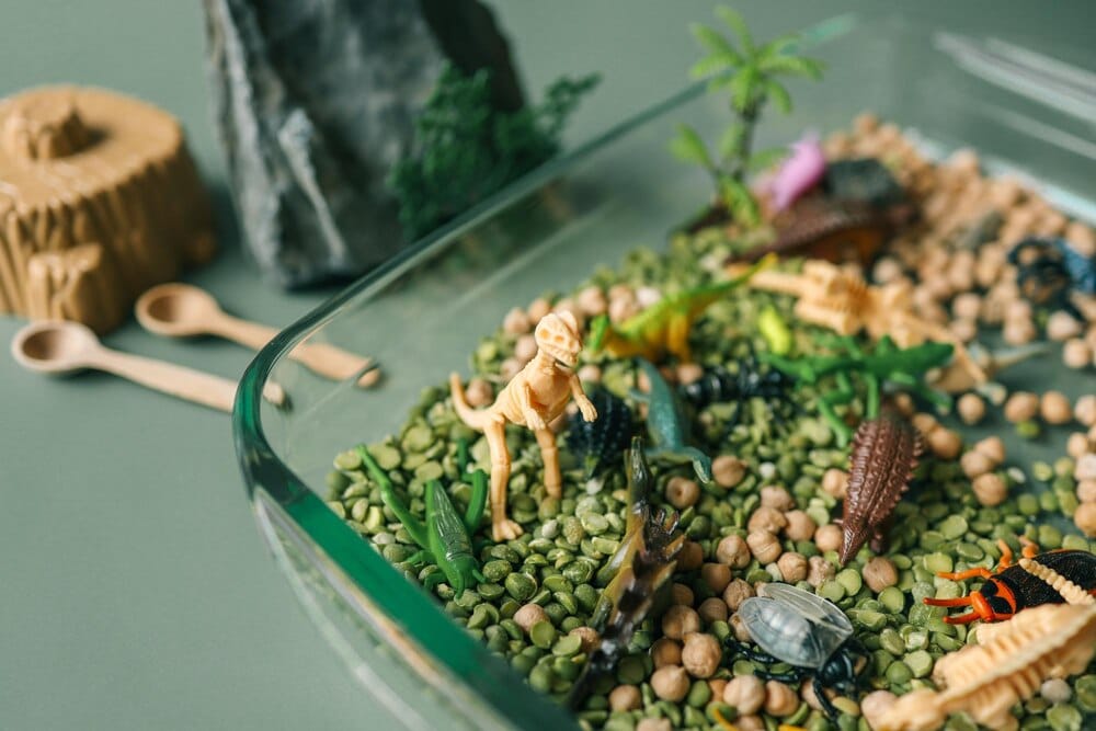 Taller sobre insectos y arácnidos