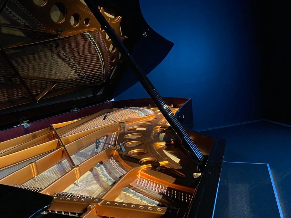 Concierto de Lara Díaz y Natalia Zapatero