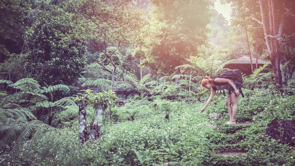 Salida al campo por la zona amenazada por la A-57