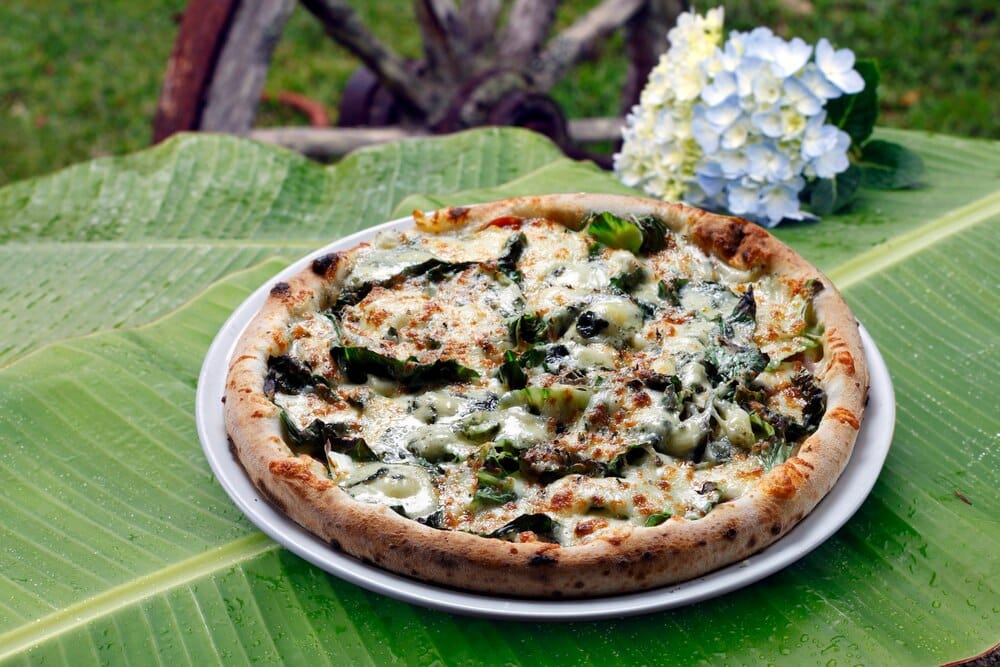 Grossísima di Paula Amor