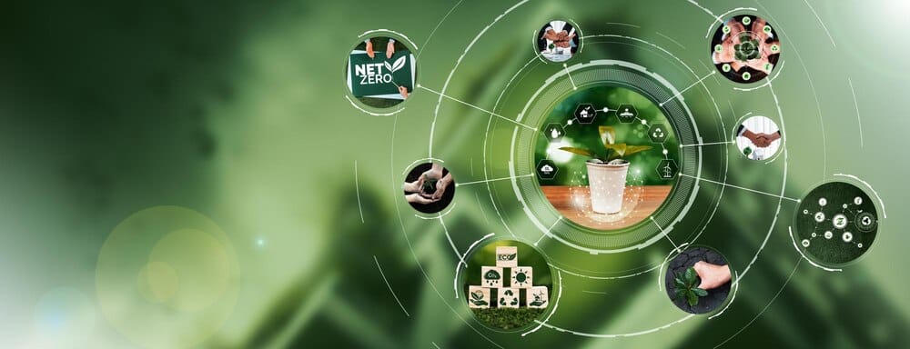 Jornada sobre Biomasa y Desarrollo Sostenible (BioDeSost’25)