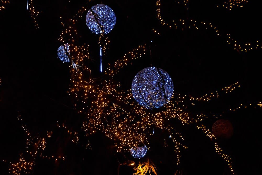 Espectáculos culturales en el Náutico