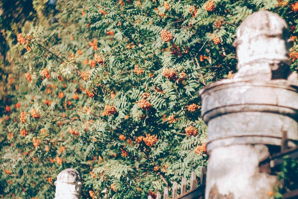 Homenaje a Rosalía de Castro en el Día del Libro
