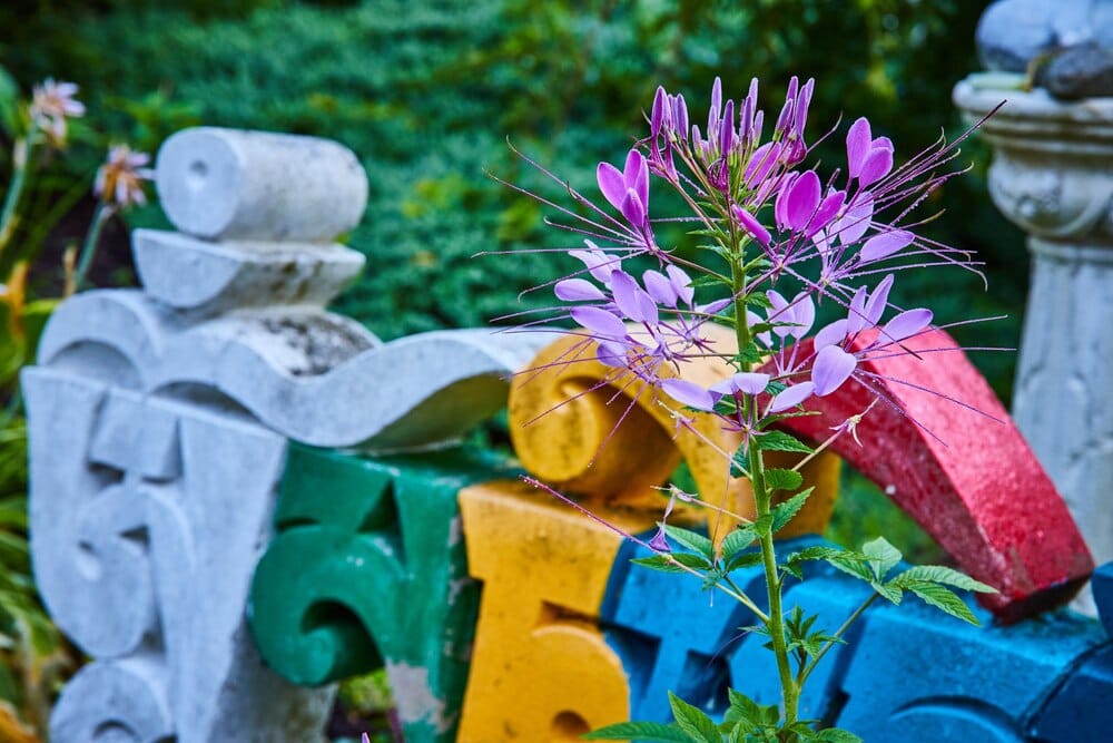 Visitas guiadas por los jardines del Pazo de Castrelos