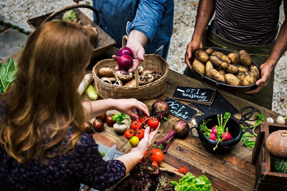 Polbada Vegana de San Froilán