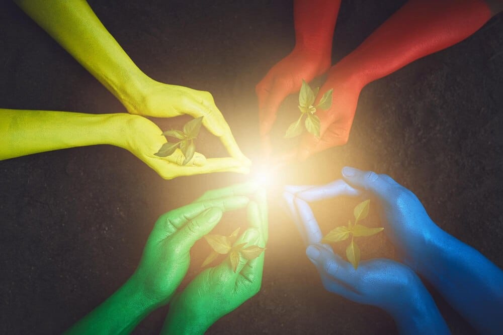 Taller de inserción laboral