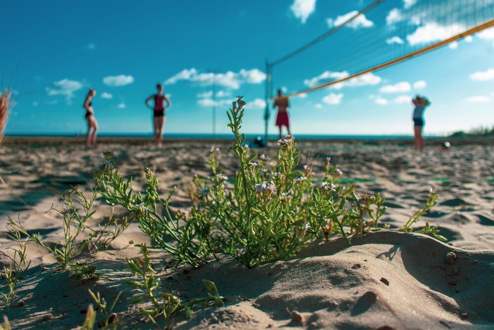 Campeonato Gallego Cadete de Voley Playa
