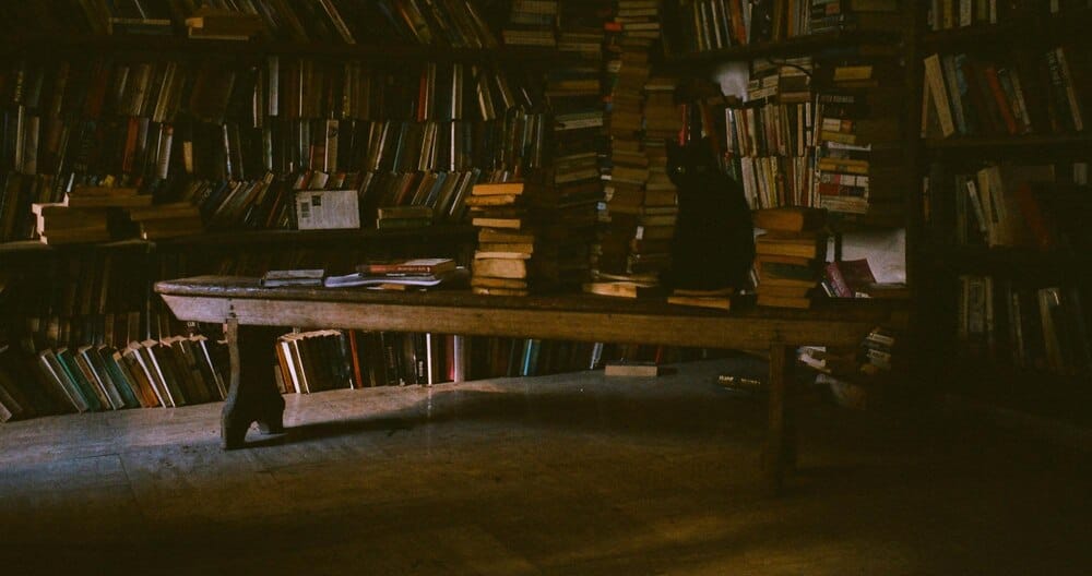 Presentación de 'El caso Salgueiro'