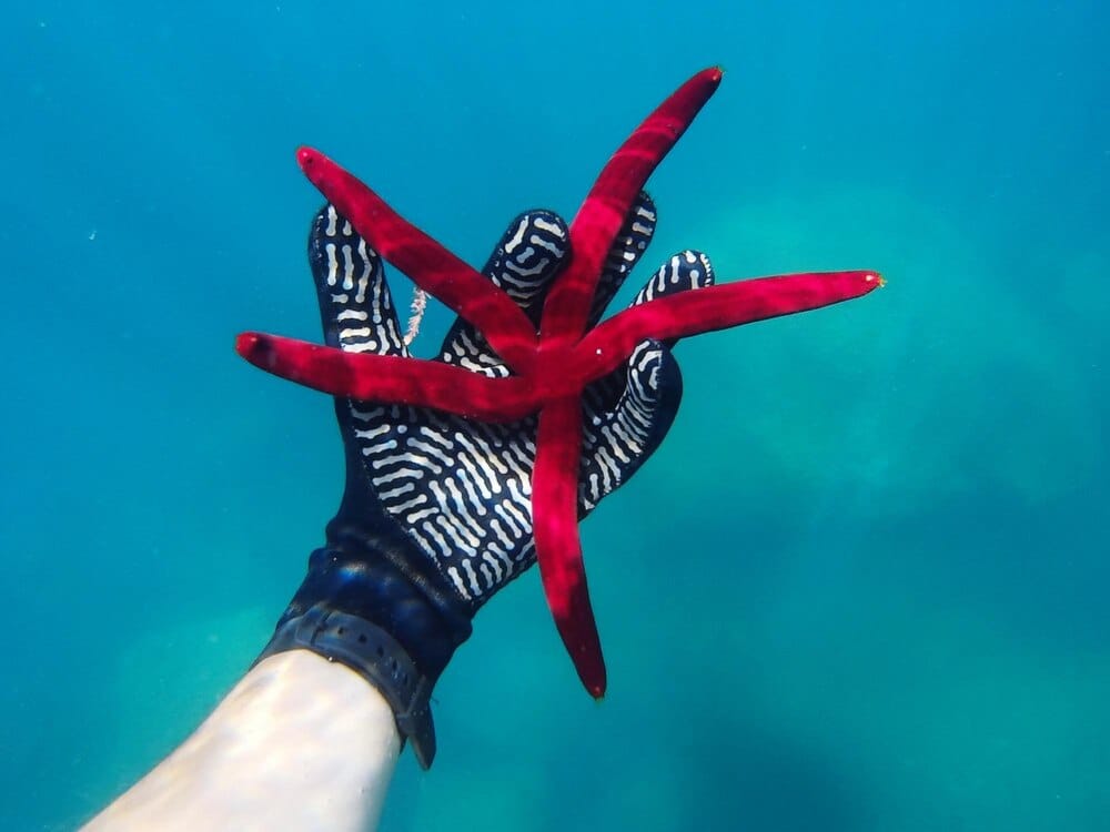 Monólogos Big Van Ciencia