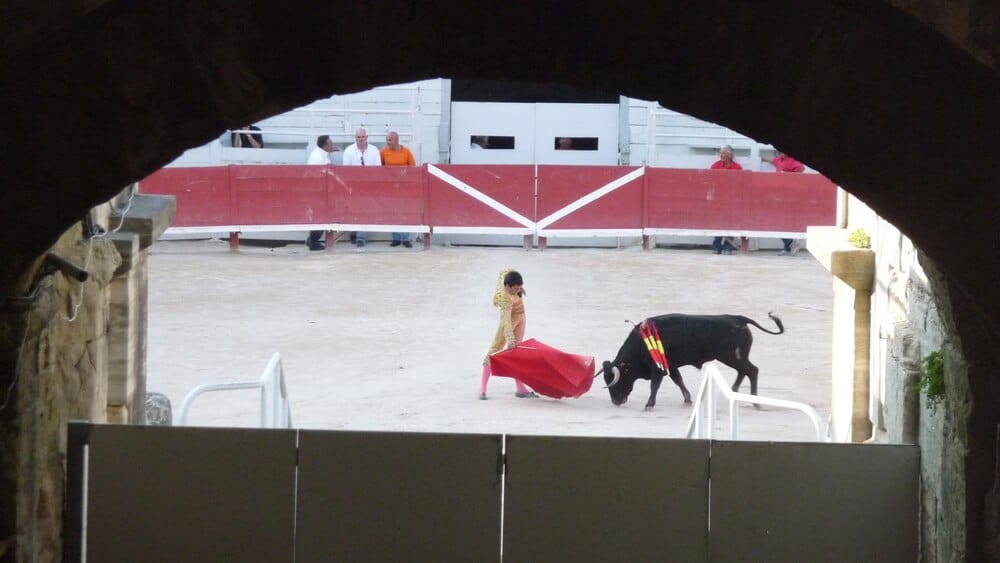 Feria Taurina de la Peregrina