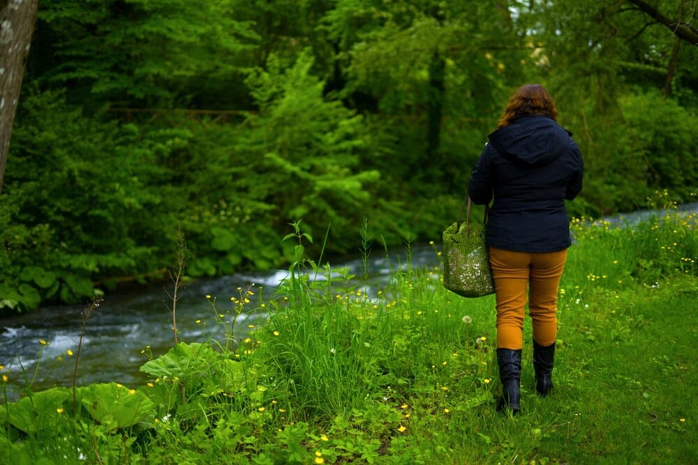 Ruta Pontes do Lérez