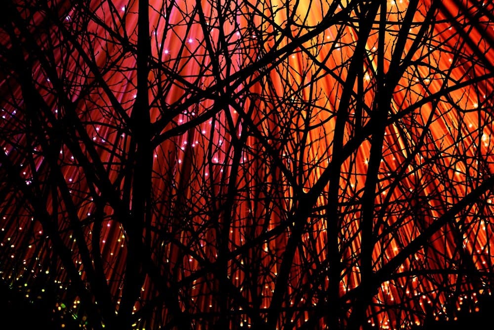 Rosalía, cartografía de ásperas ortigas - CDG-Asta Teatro e Outras Artes