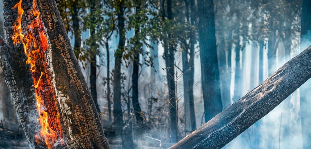 Presentación Comité Científico CAPRIF-CC