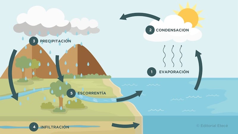 Conferencia Ambiental presencial y online: “Ciclo del agua en Burgos”