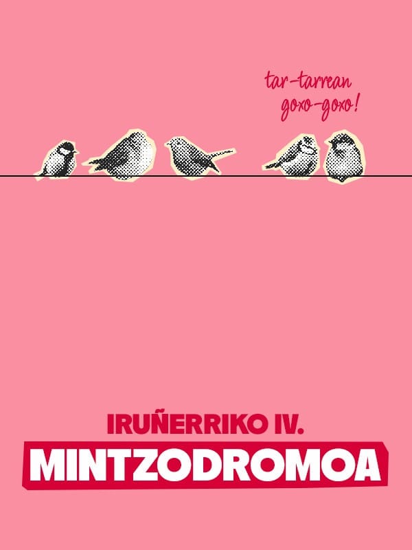 Iruñerriko IV. Mintzodromoa