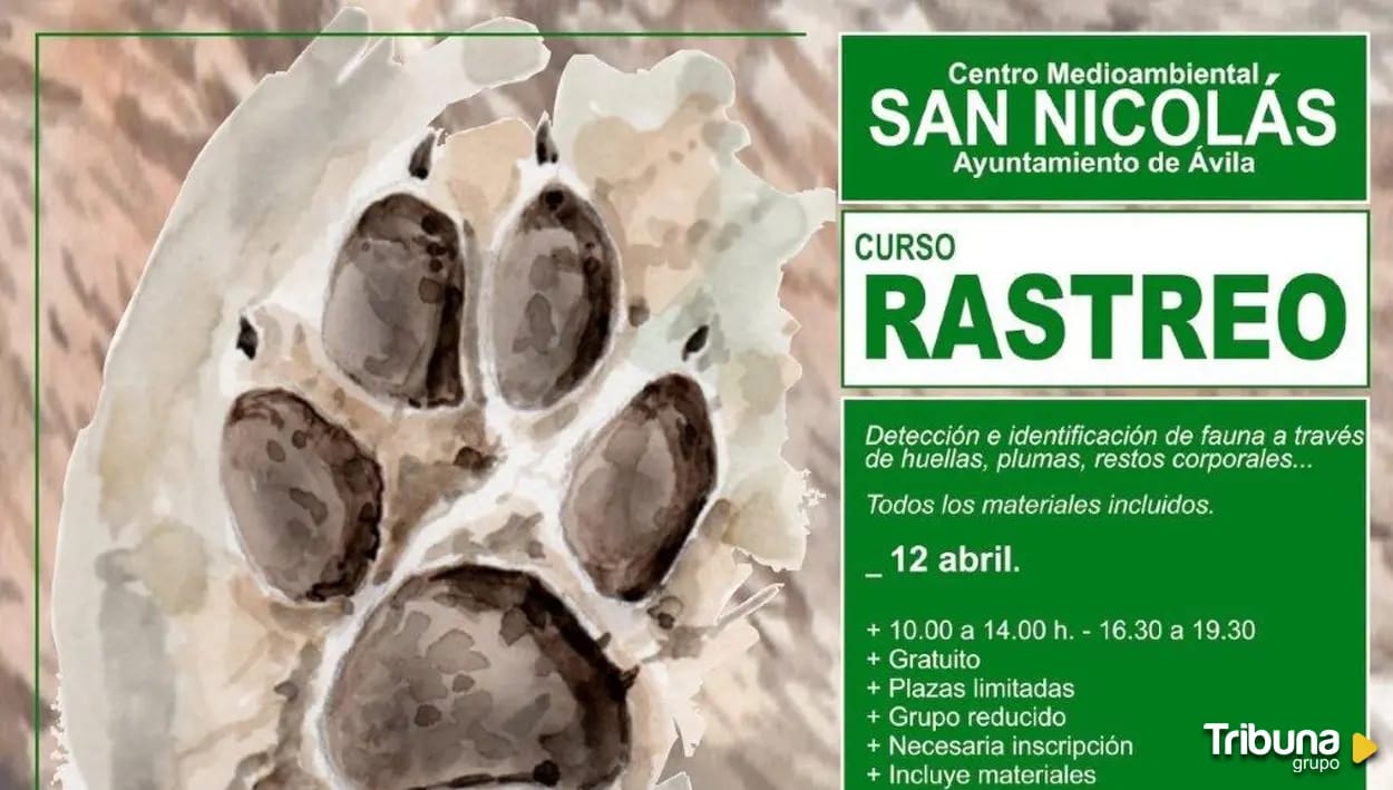 Taller de hoteles de insectos
