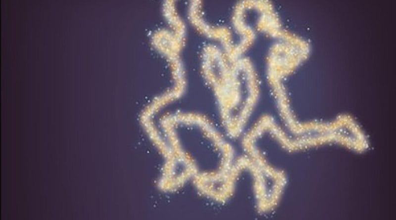 XII Carrera Popular Nocturna Ríos de Luz