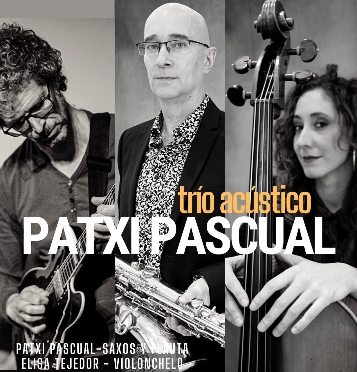 Patxi Pascual Trio Acústico