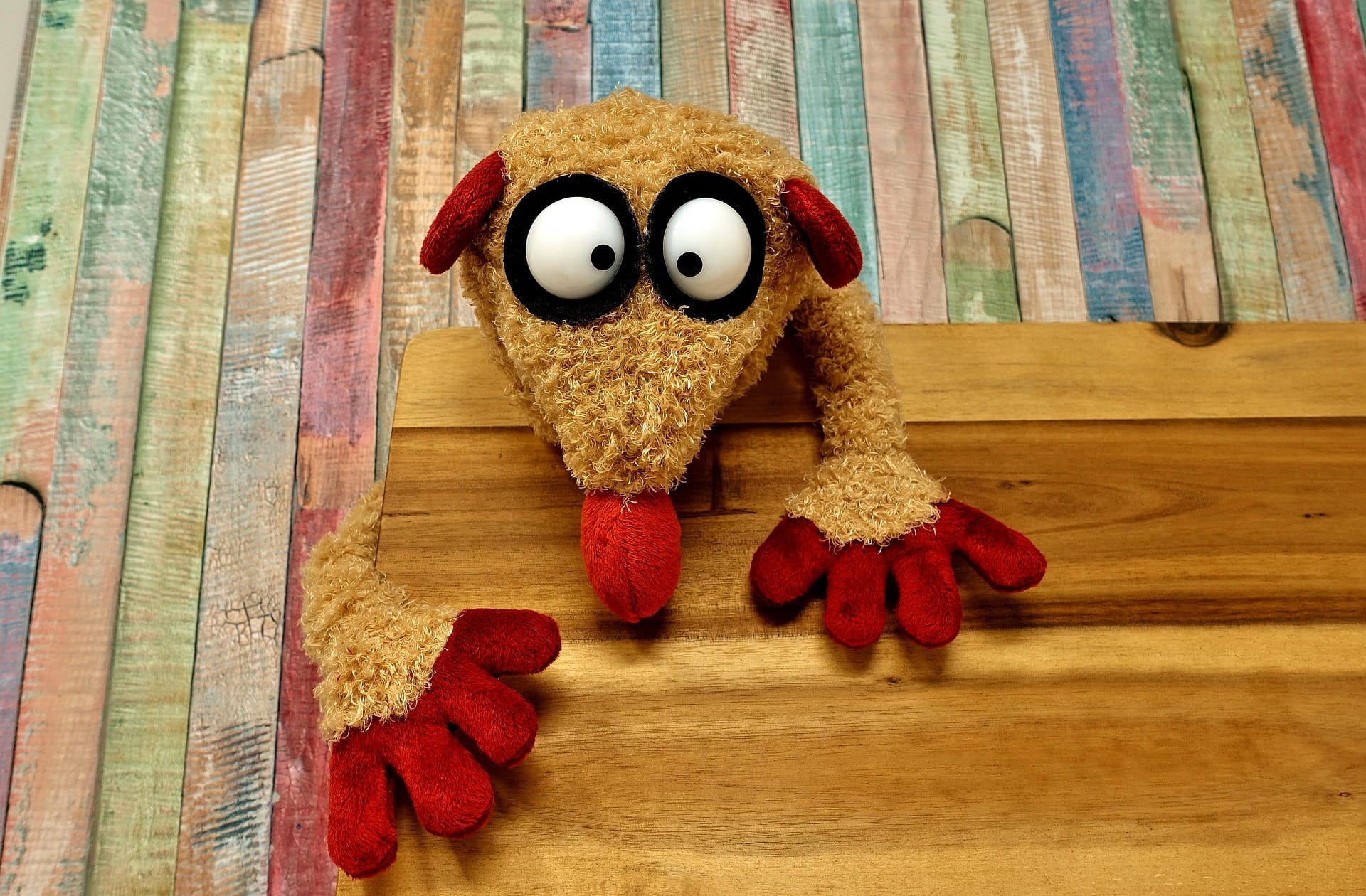 Cuentacuentos de mayo en las bibliotecas municipales